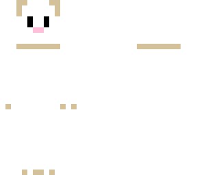 ferret