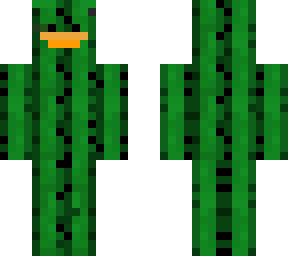 cactus duck