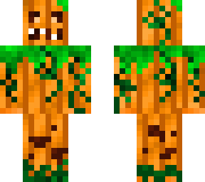 pumpkin skin