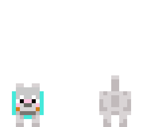 cute dog