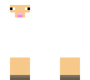 sheep
