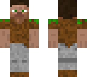 earth steve