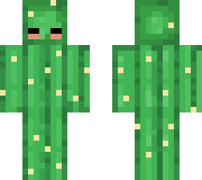 cute cactus
