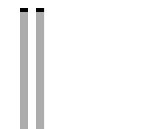 the crying child fnaf