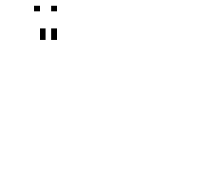 skelet