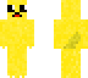 golden labrador 3