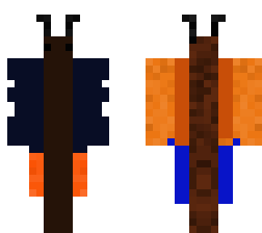 butterfly guy