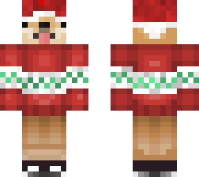 christmas doge with hat