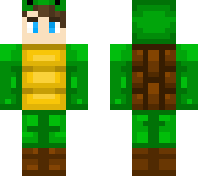 turtle costume