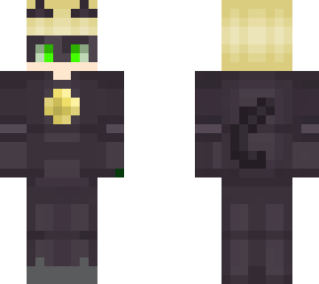 chat noir