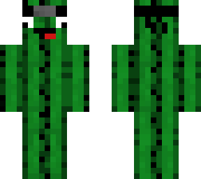 derpy catus ninja
