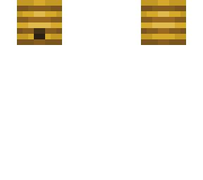 Decoration Head Minecraft Skins