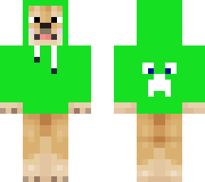 shiba with light green hoddie