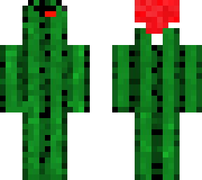 cactus santa