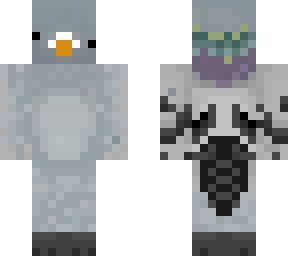 is a birb!