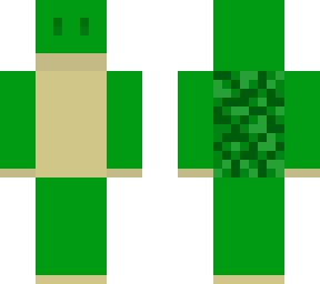 nice turtle