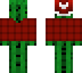 christmas - cactus in red flannel shirt and hat