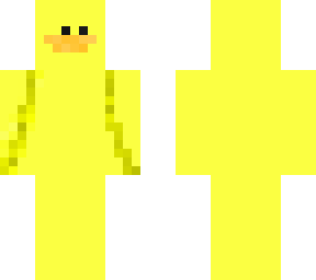 plain duck