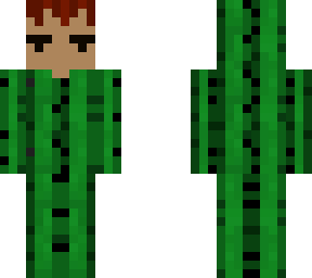 cactus boy