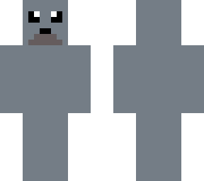 cute seal