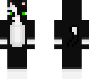 downs syndrome cat