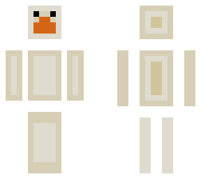 seagull