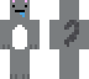 derpy gray cat