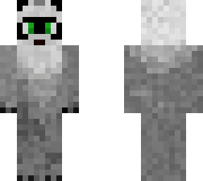 racoon