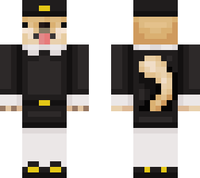 pilgrim boi doge