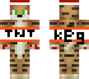 jandyc_yt minecraft christmas skin