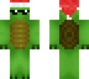 turtle dude festive