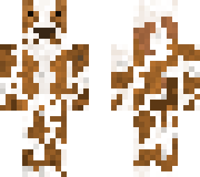 springer spaniel dog skin
