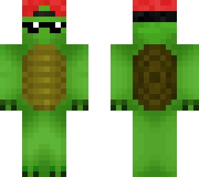 turtle dude