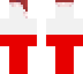 christmas polish flag
