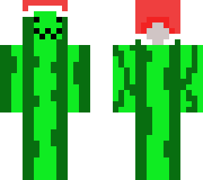 melon cat christmas