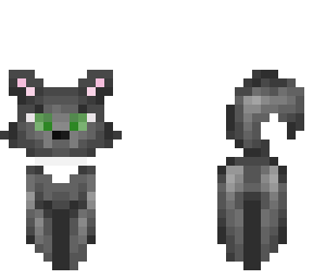 my cat ,mittens