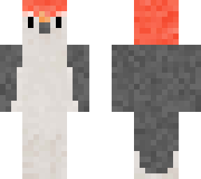 woodpecker