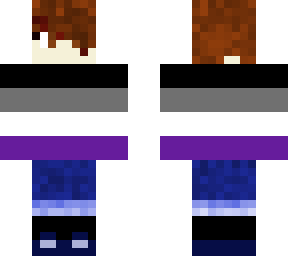 a***ual pride flag
