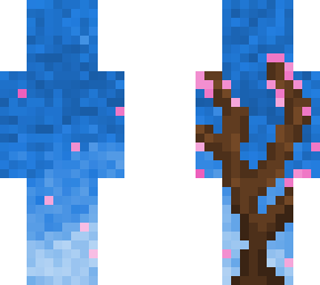 cherry blossom