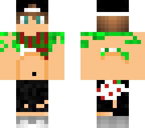 zinx skin