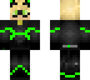 cat noir stenhuggaren8