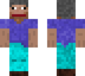 reversed steve
