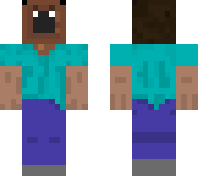 steve with strange head and face