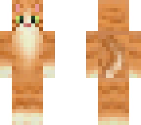 ginger cat