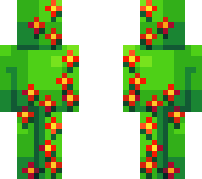 poinsettia
