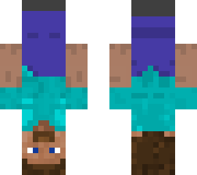 upside down steve