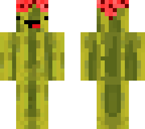 bmans melon skin
