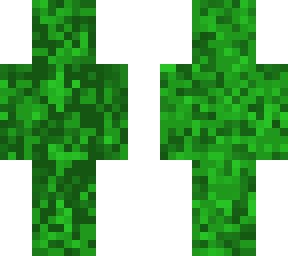 camo101