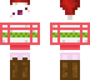 secret santa gift (made for friend)