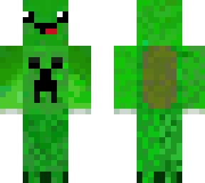 turtle with a creeper shirt